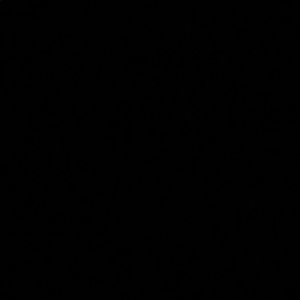 Meet your Posher, Allenah